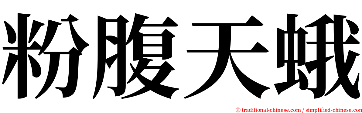 粉腹天蛾 serif font