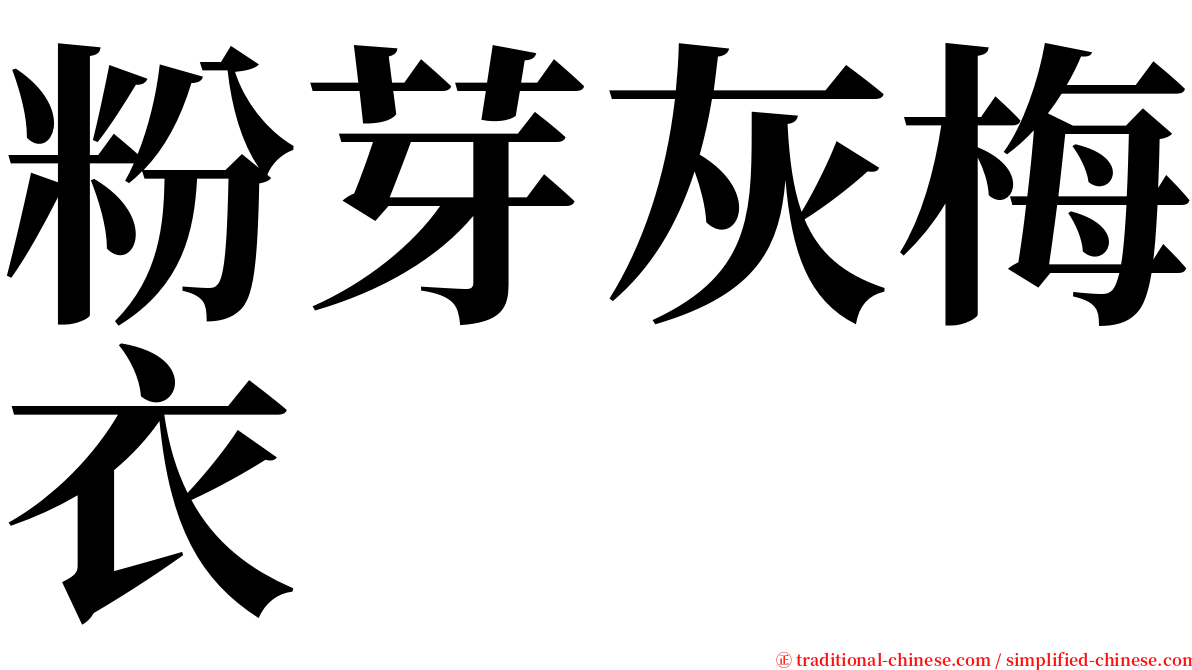 粉芽灰梅衣 serif font