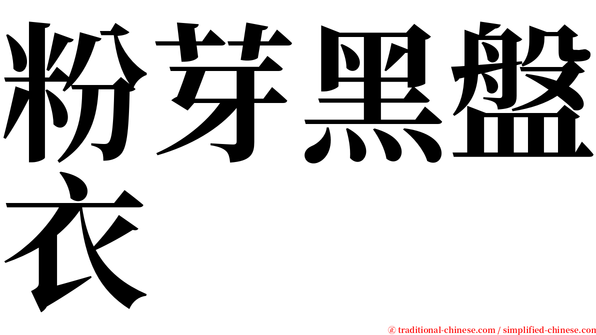 粉芽黑盤衣 serif font