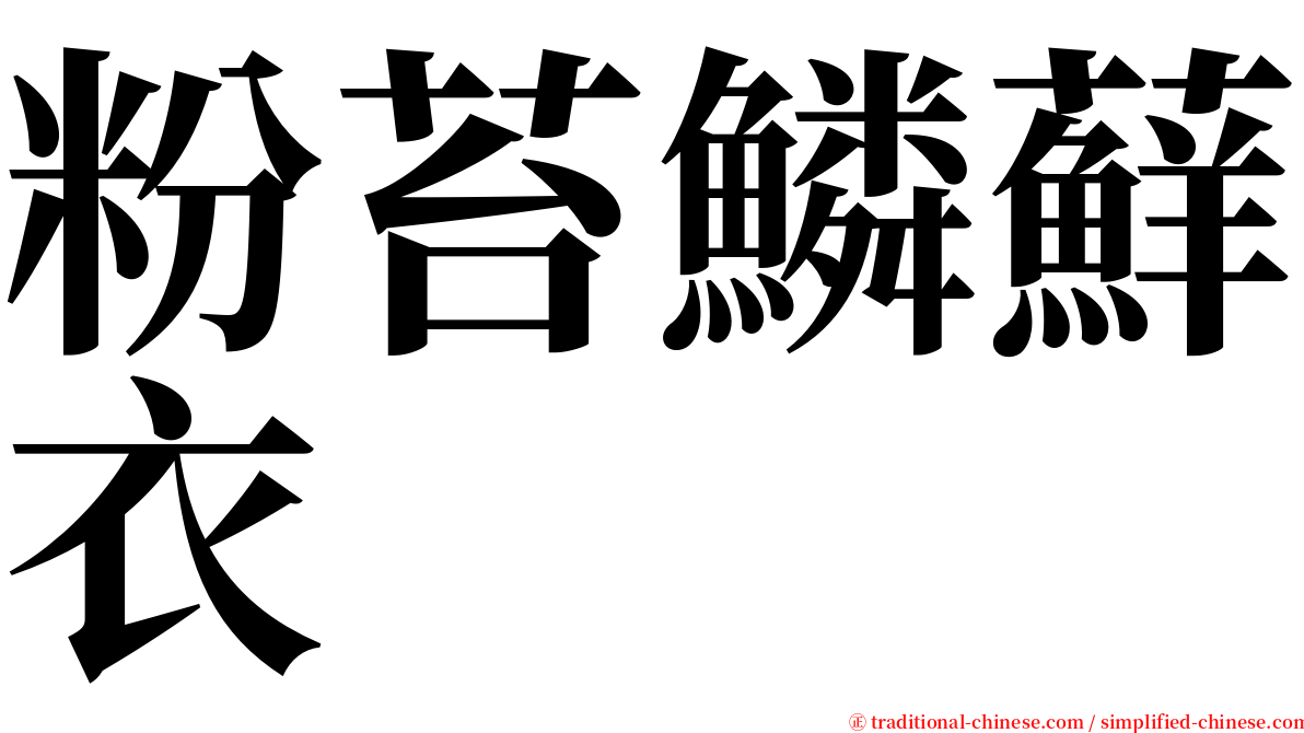 粉苔鱗蘚衣 serif font