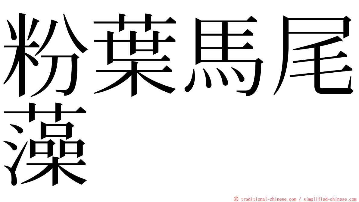 粉葉馬尾藻 ming font