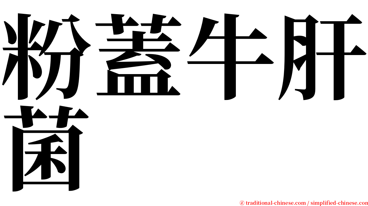 粉蓋牛肝菌 serif font