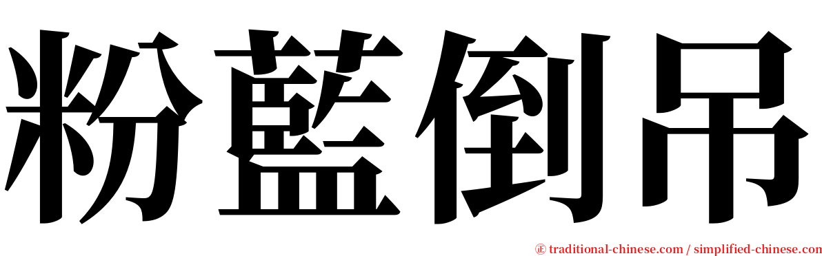 粉藍倒吊 serif font