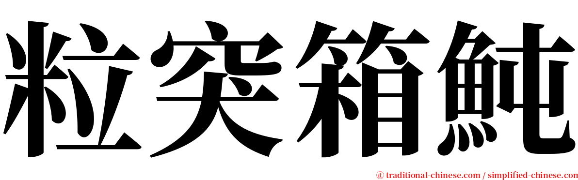 粒突箱魨 serif font