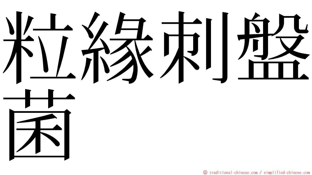 粒緣刺盤菌 ming font