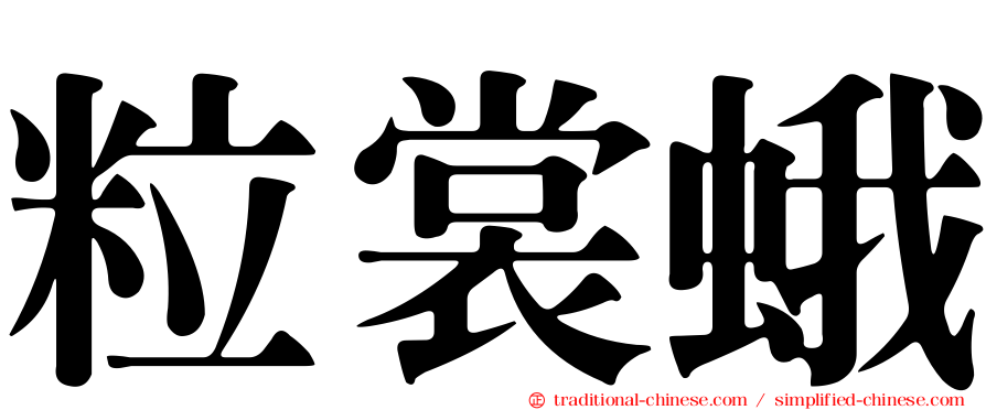 粒裳蛾