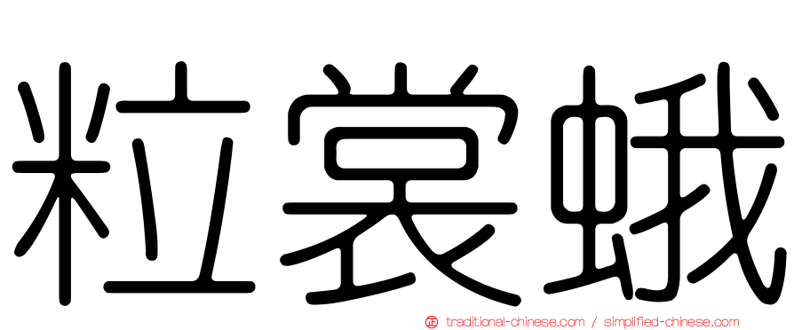 粒裳蛾
