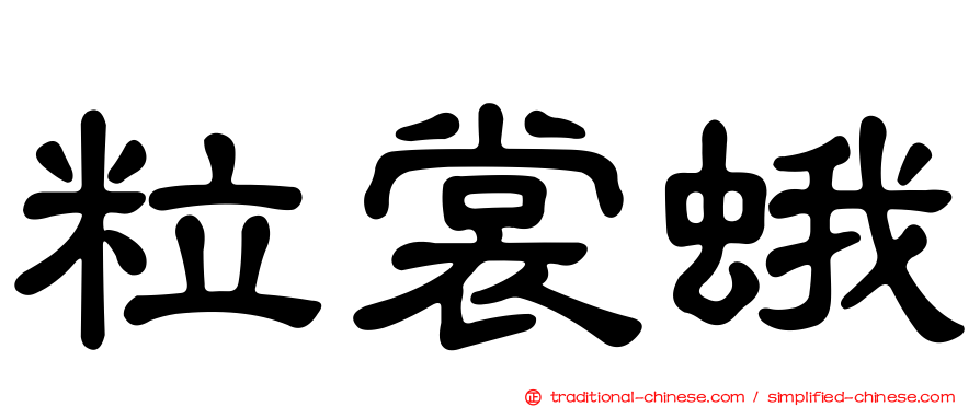 粒裳蛾