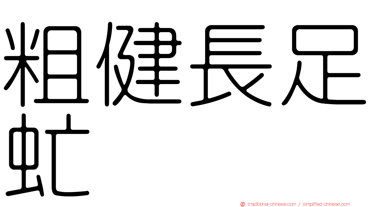 粗健長足虻