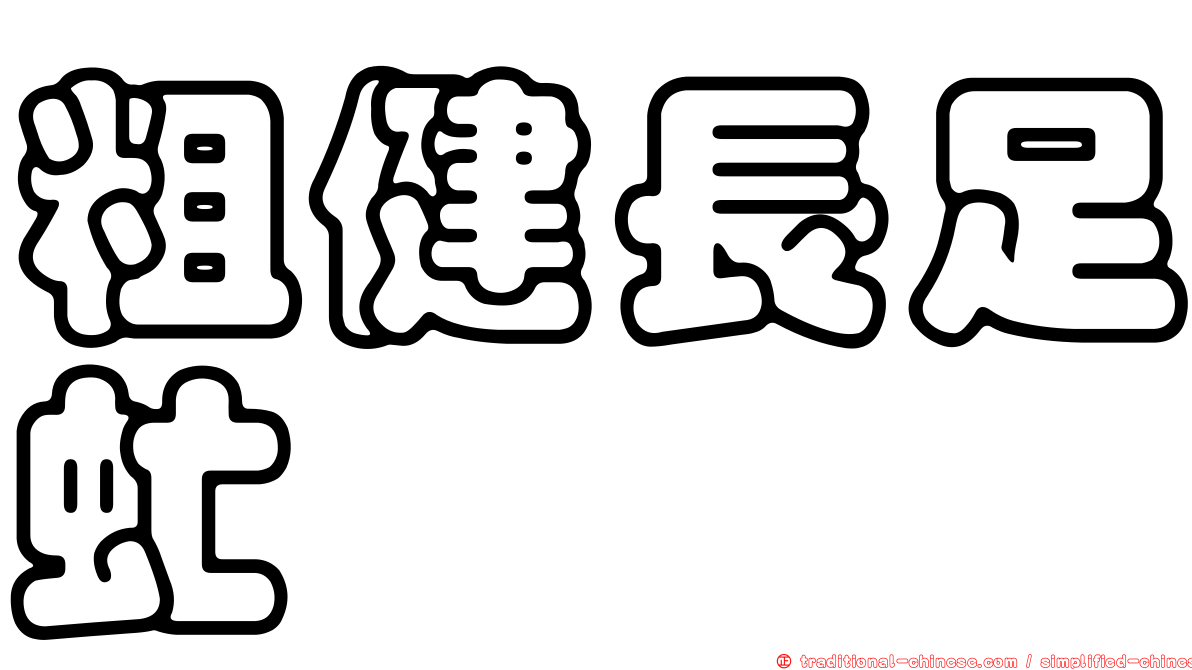 粗健長足虻
