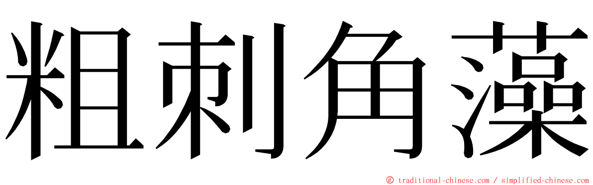 粗刺角藻 ming font