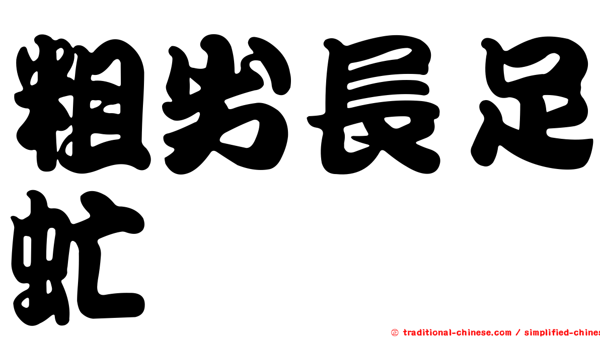 粗劣長足虻