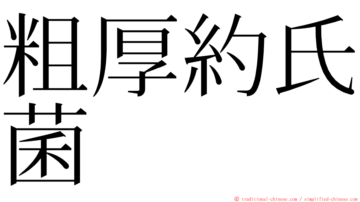 粗厚約氏菌 ming font