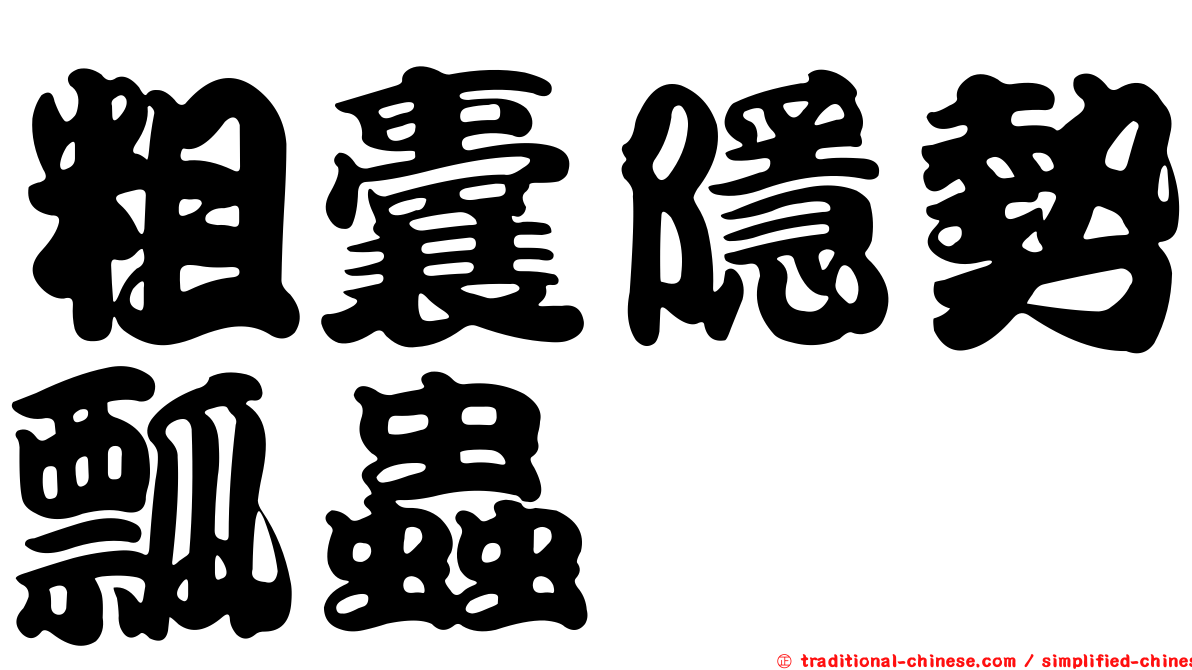 粗囊隱勢瓢蟲