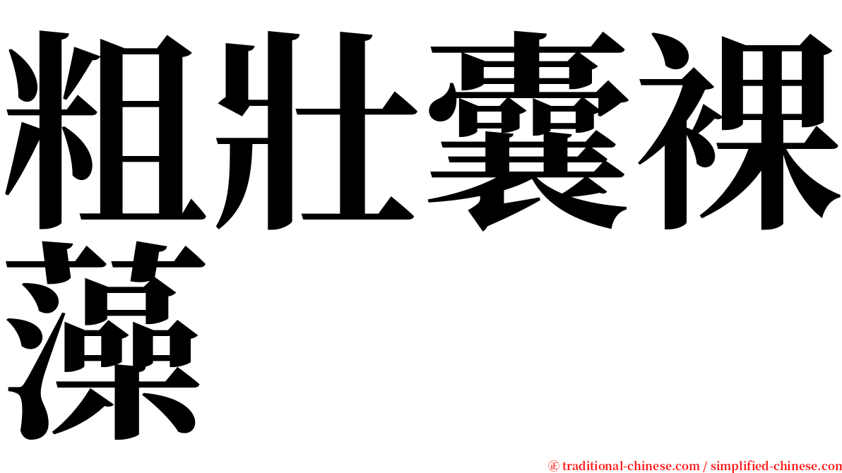 粗壯囊裸藻 serif font