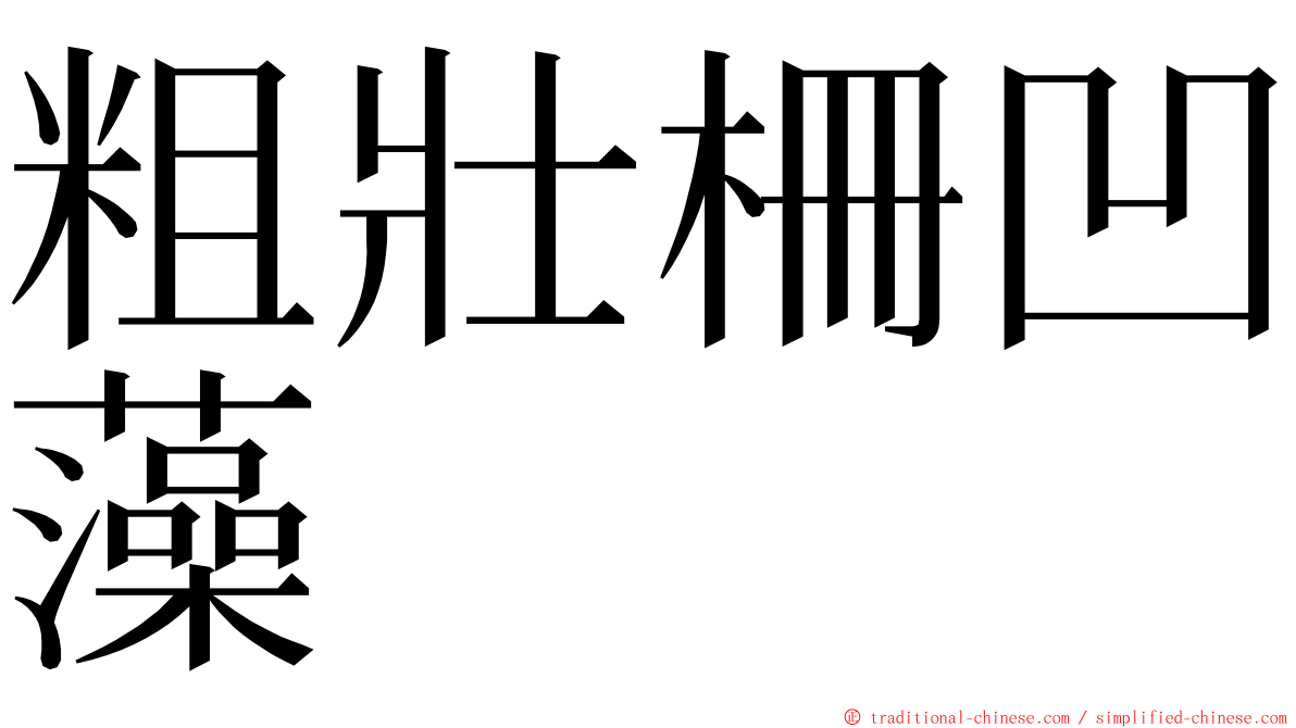 粗壯柵凹藻 ming font