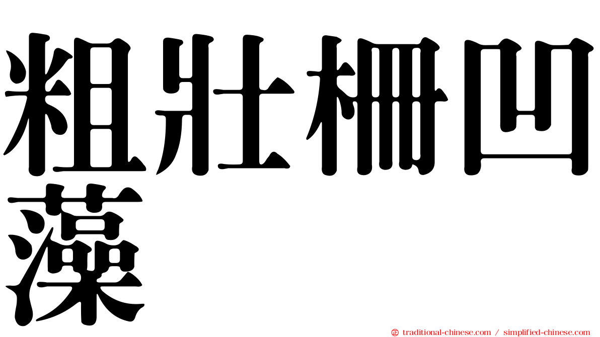 粗壯柵凹藻