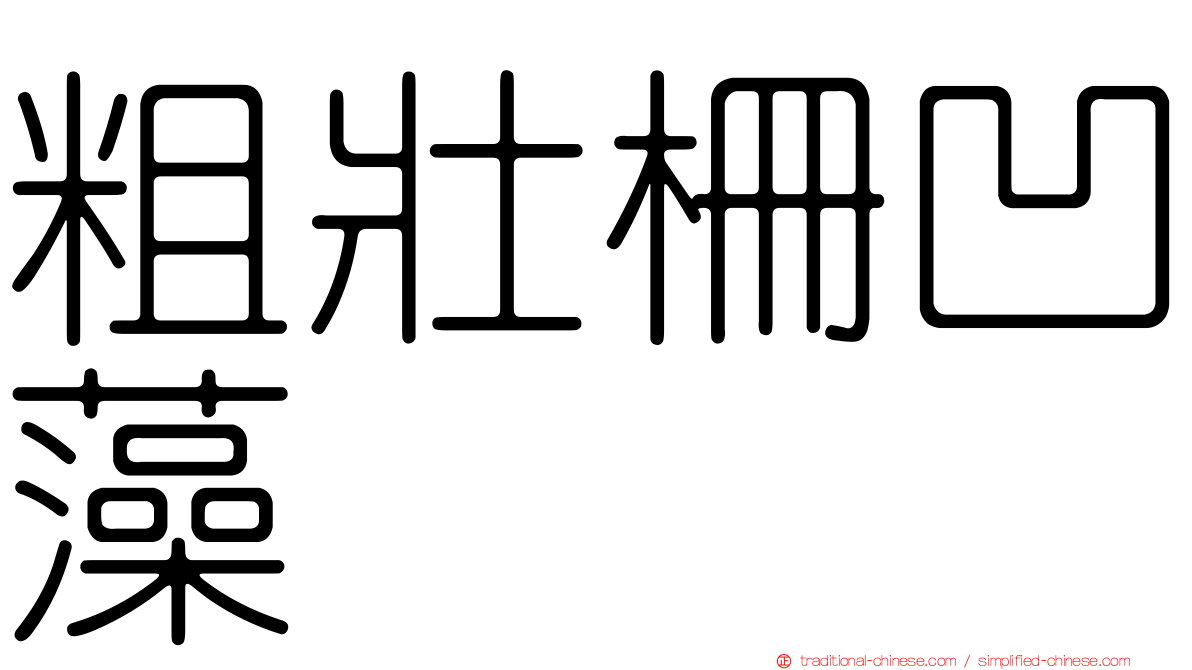 粗壯柵凹藻