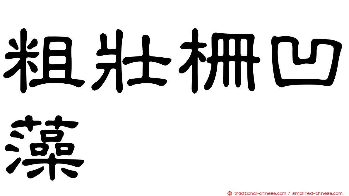 粗壯柵凹藻