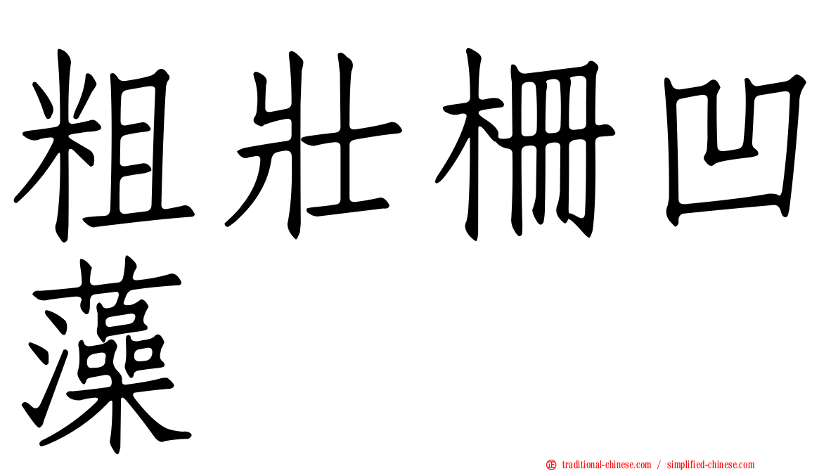 粗壯柵凹藻