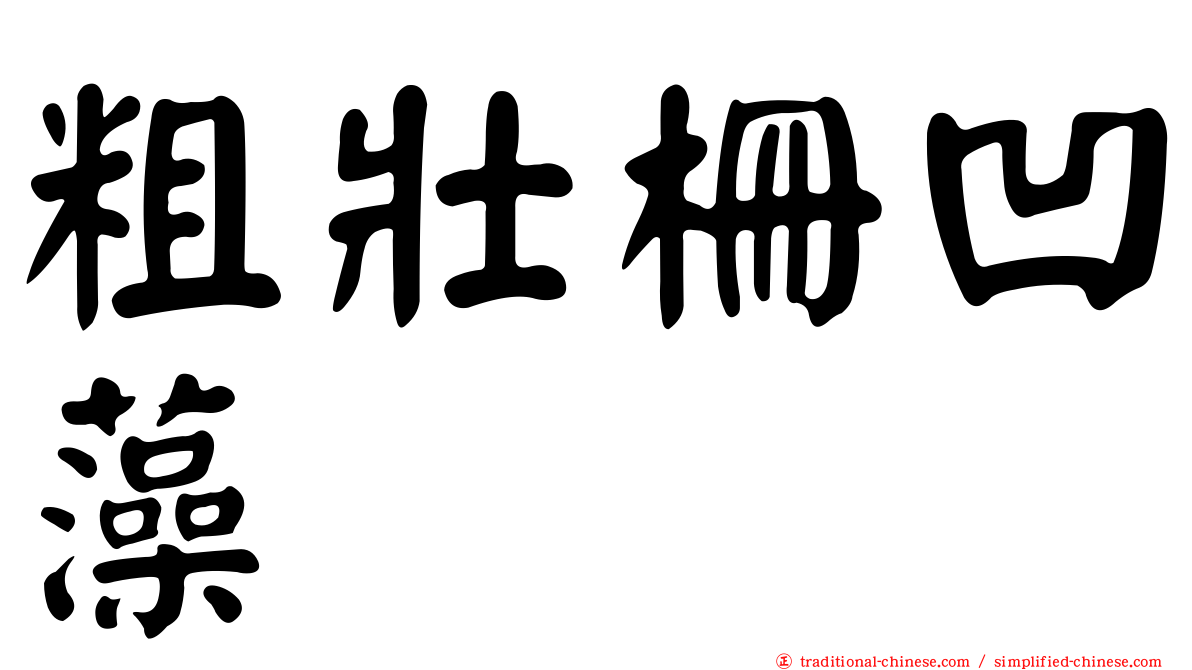 粗壯柵凹藻