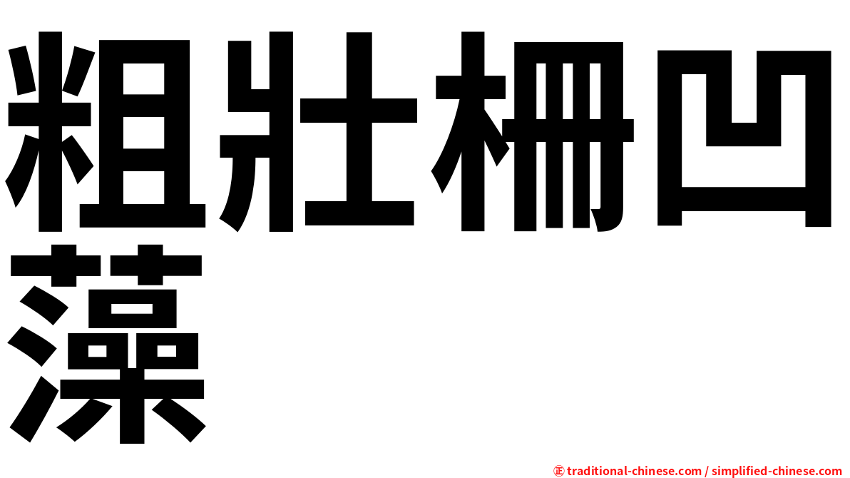 粗壯柵凹藻