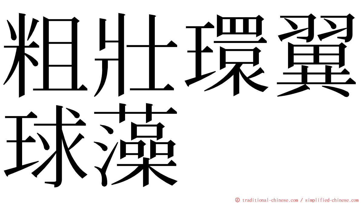 粗壯環翼球藻 ming font