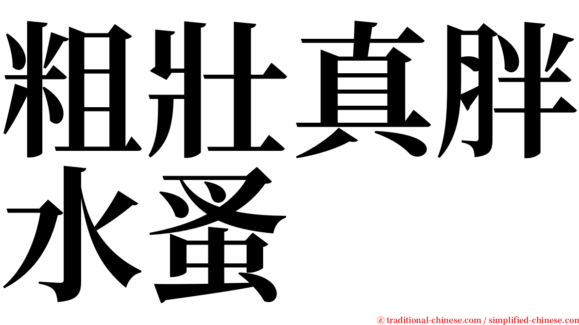 粗壯真胖水蚤 serif font