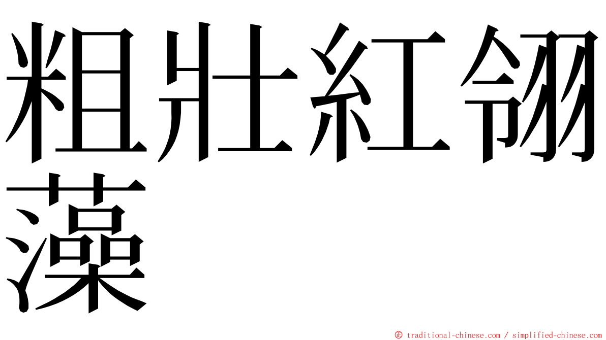 粗壯紅翎藻 ming font