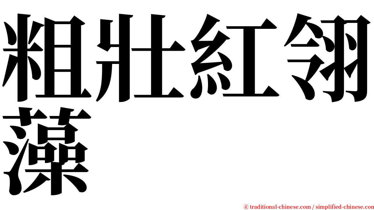 粗壯紅翎藻 serif font