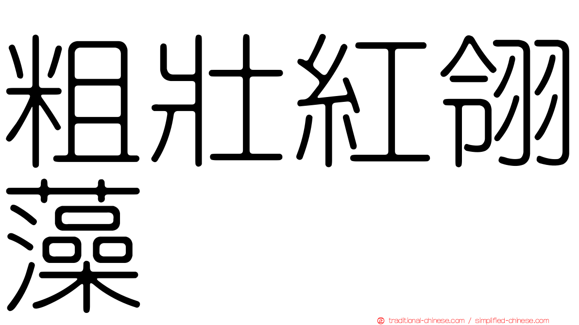 粗壯紅翎藻