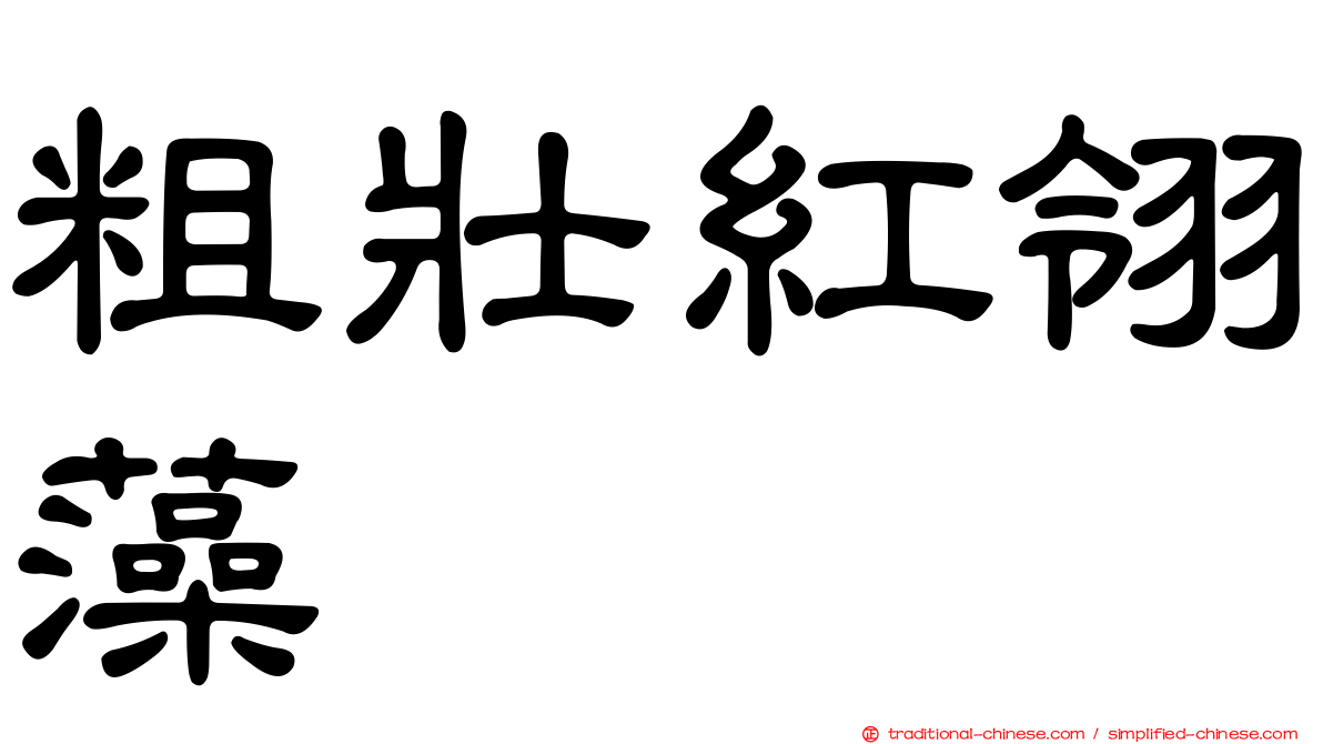 粗壯紅翎藻
