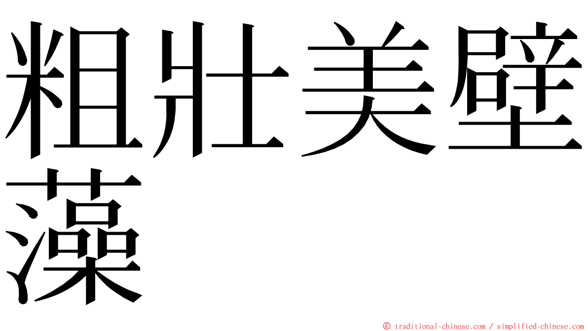 粗壯美壁藻 ming font