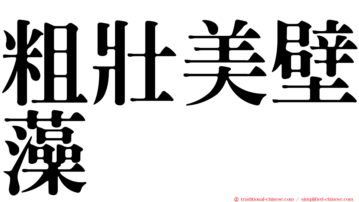 粗壯美壁藻