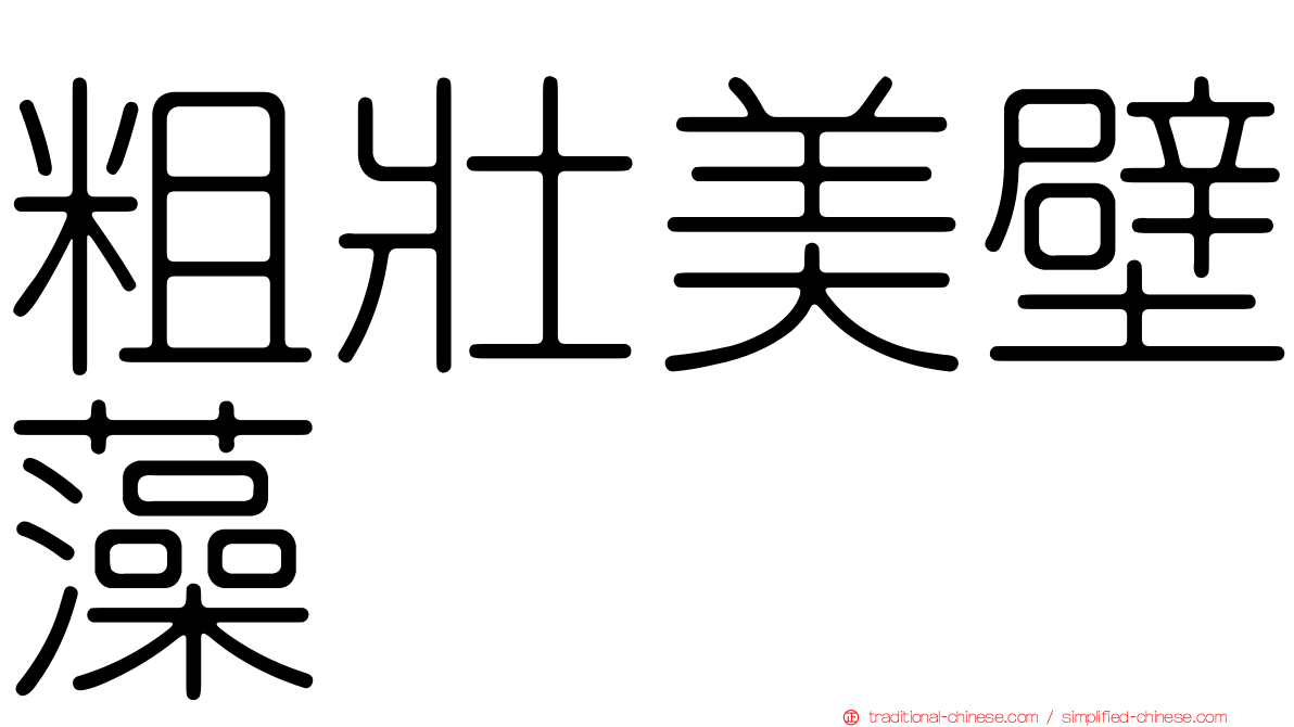 粗壯美壁藻