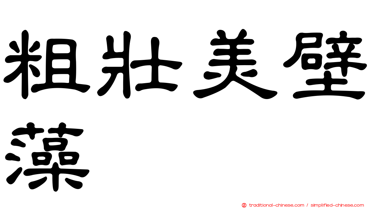粗壯美壁藻