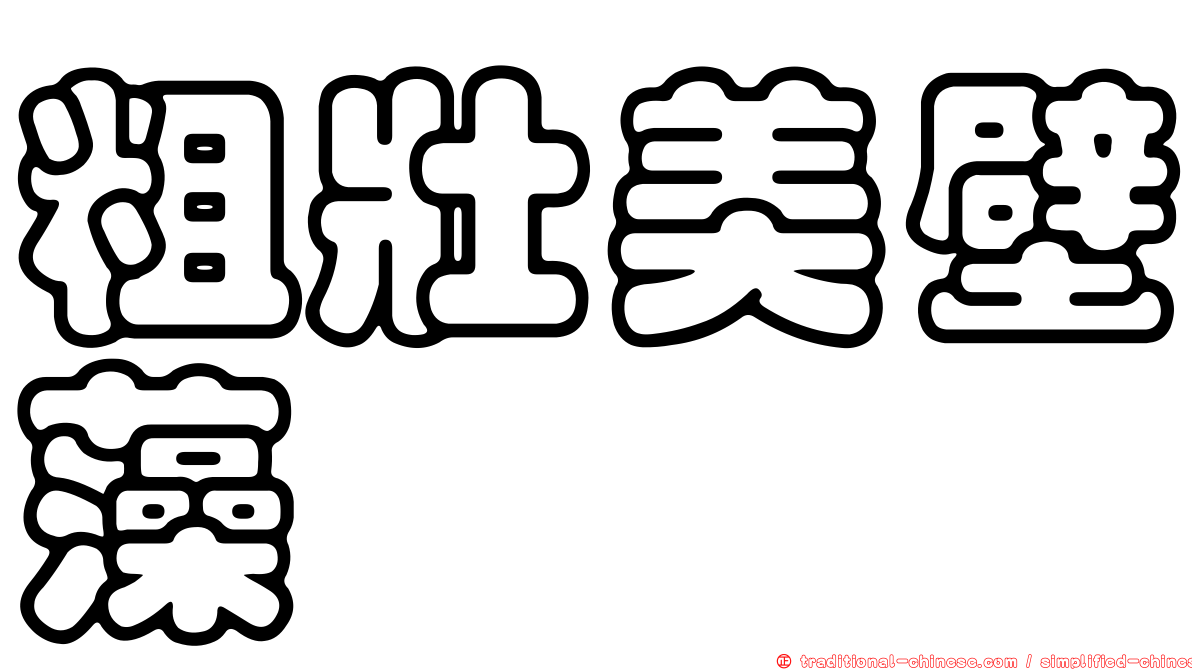 粗壯美壁藻