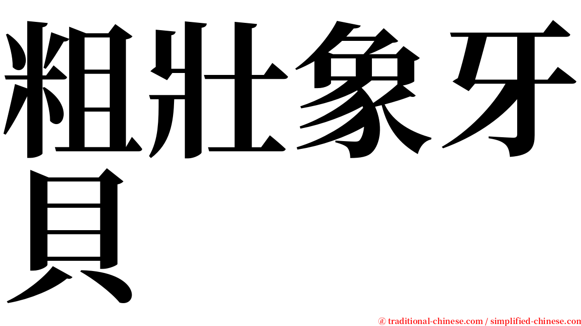 粗壯象牙貝 serif font