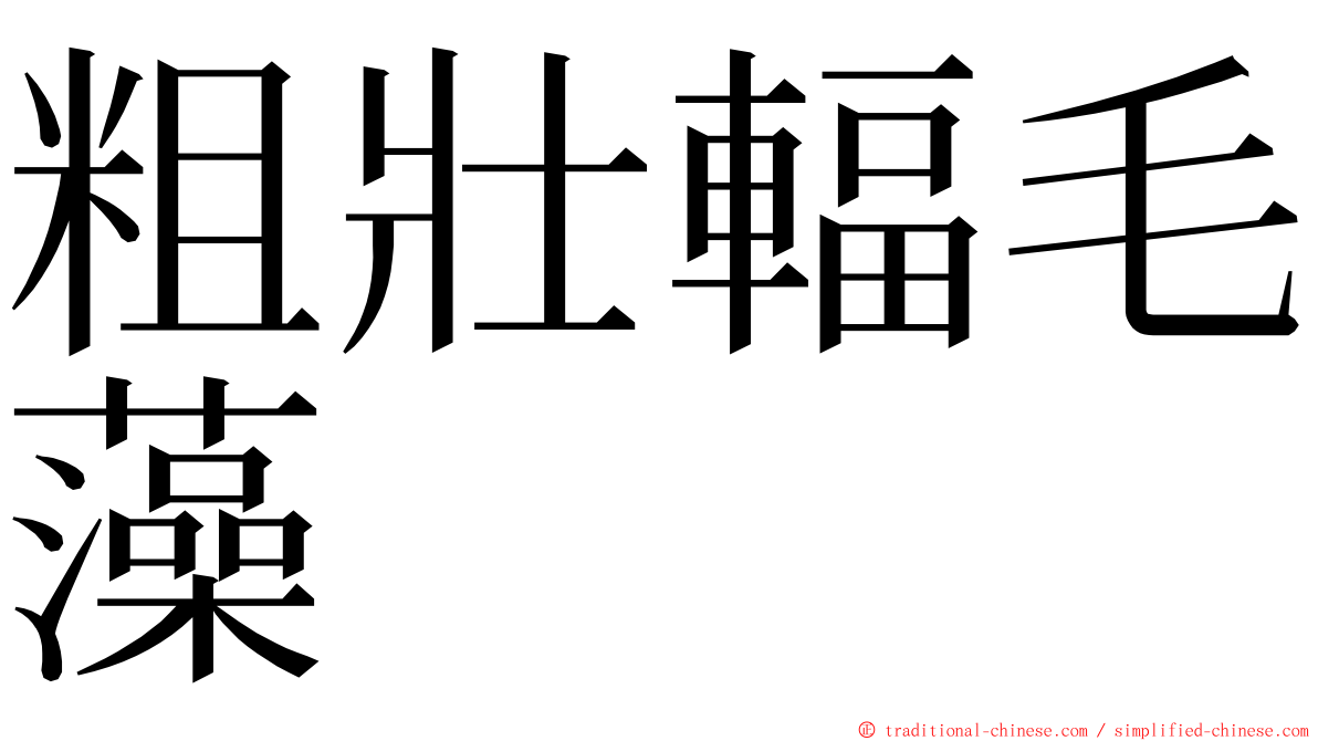 粗壯輻毛藻 ming font