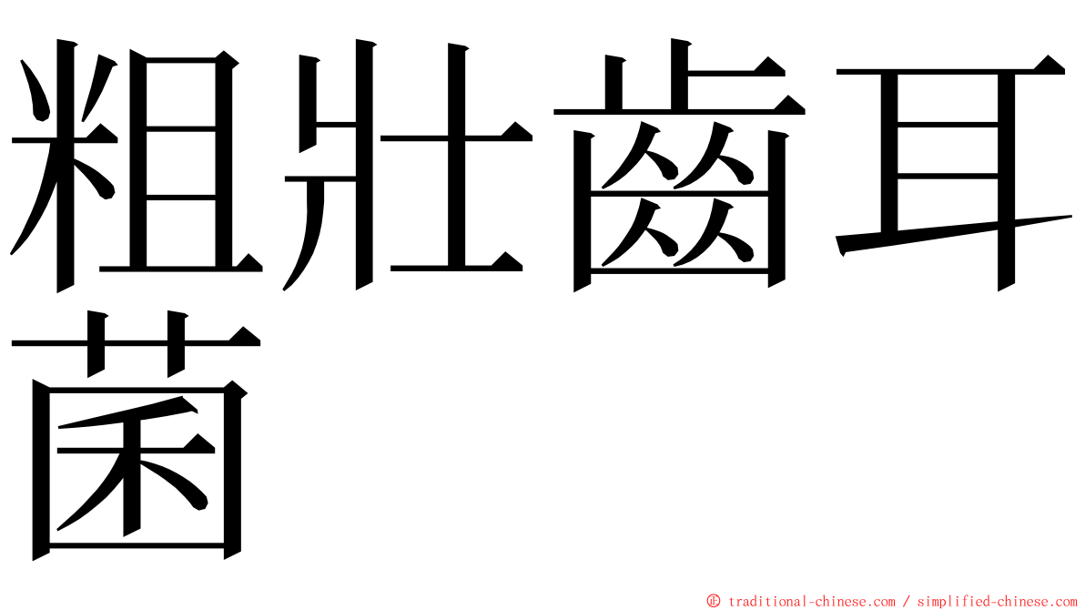 粗壯齒耳菌 ming font