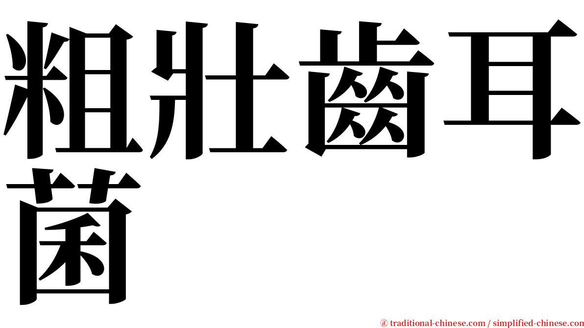 粗壯齒耳菌 serif font