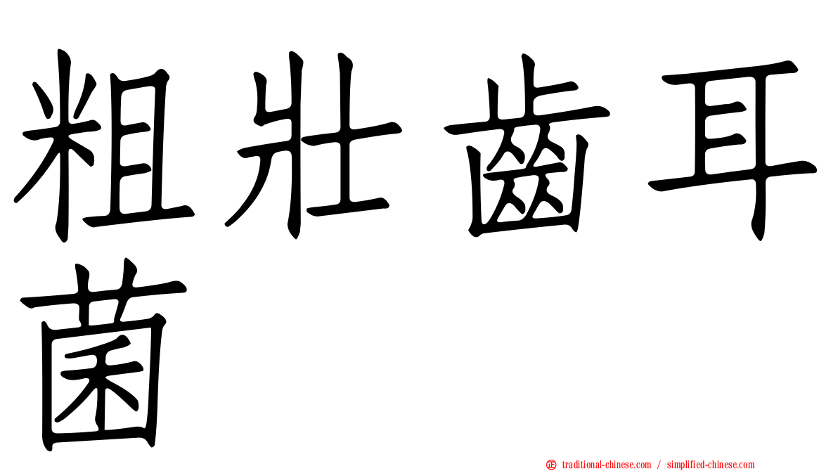 粗壯齒耳菌