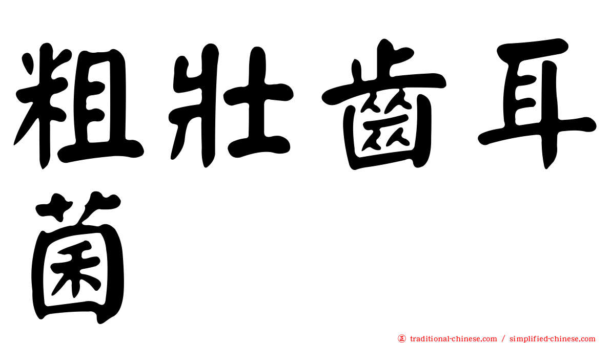 粗壯齒耳菌