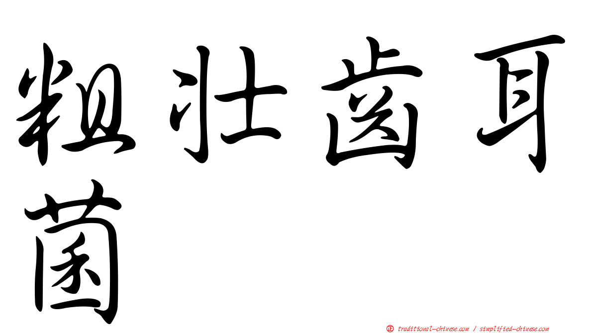 粗壯齒耳菌