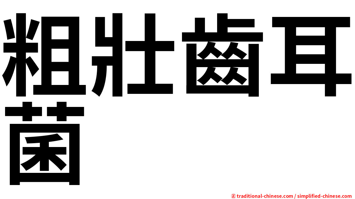 粗壯齒耳菌