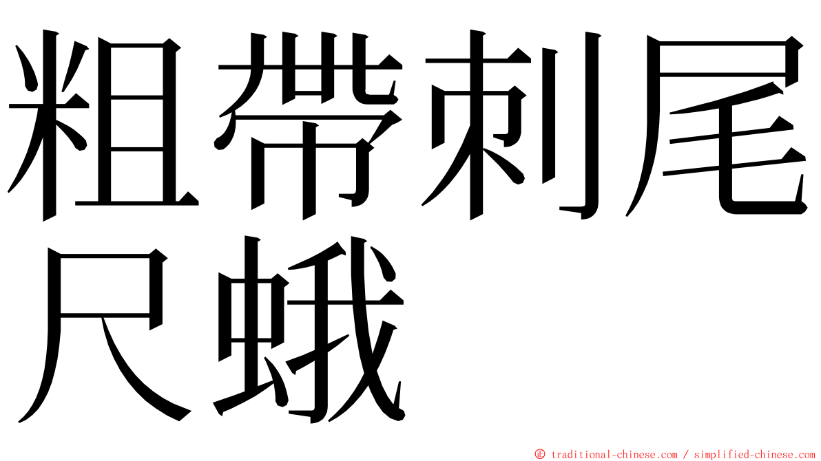 粗帶刺尾尺蛾 ming font