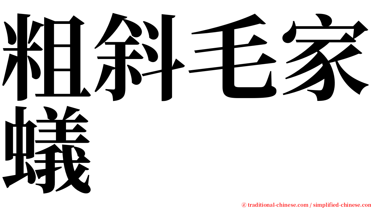 粗斜毛家蟻 serif font