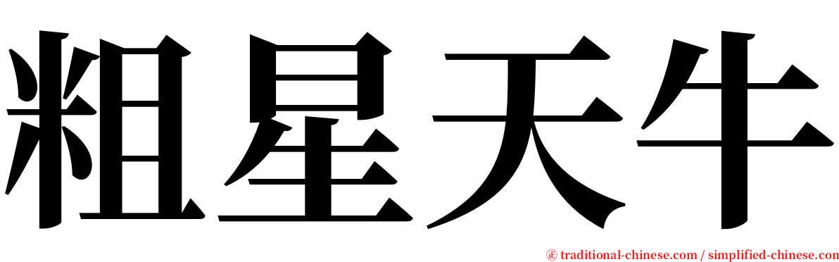 粗星天牛 serif font