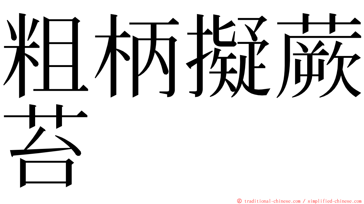 粗柄擬蕨苔 ming font