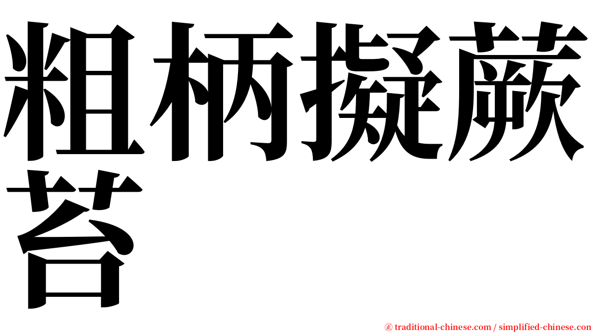 粗柄擬蕨苔 serif font